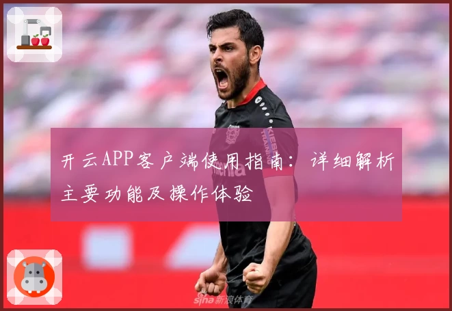 开云APP客户端使用指南：详细解析主要功能及操作体验